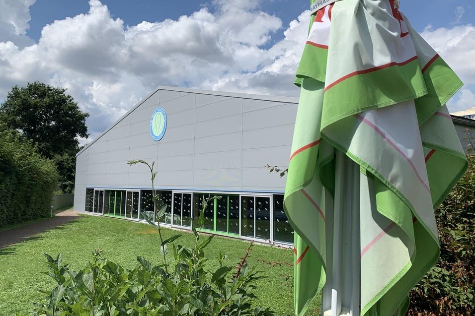 Ansicht eines modernen Gebäudes mit großen Fenstern, im Vordergrund ein Sonnenschirm auf einer Grasfläche.